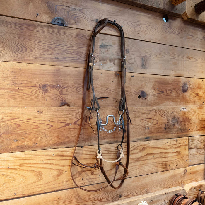 Ricky Trammell Square Port Bridle Rig