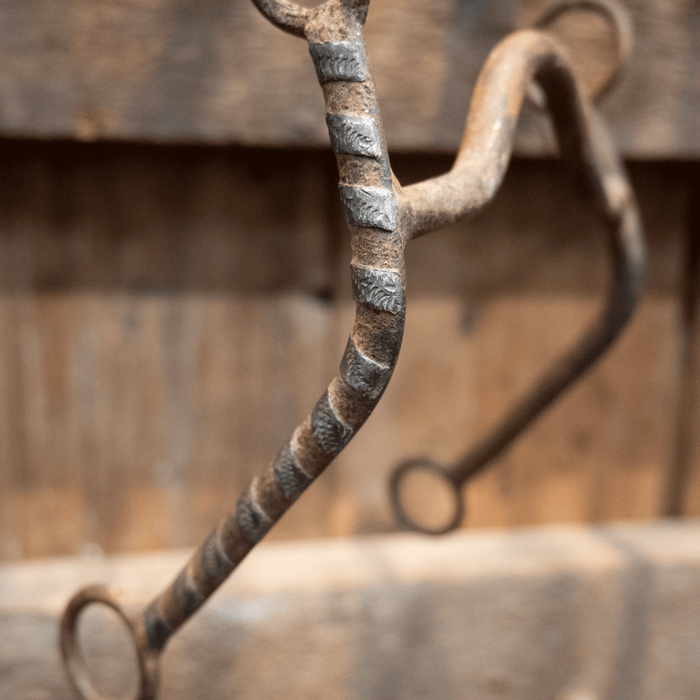 Ray Sandoval Solid Port Bit