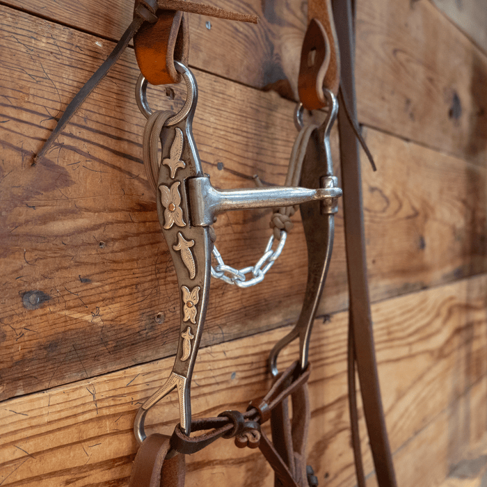 Josh Ownbey Shanked Snaffle Bit Bridle Rig