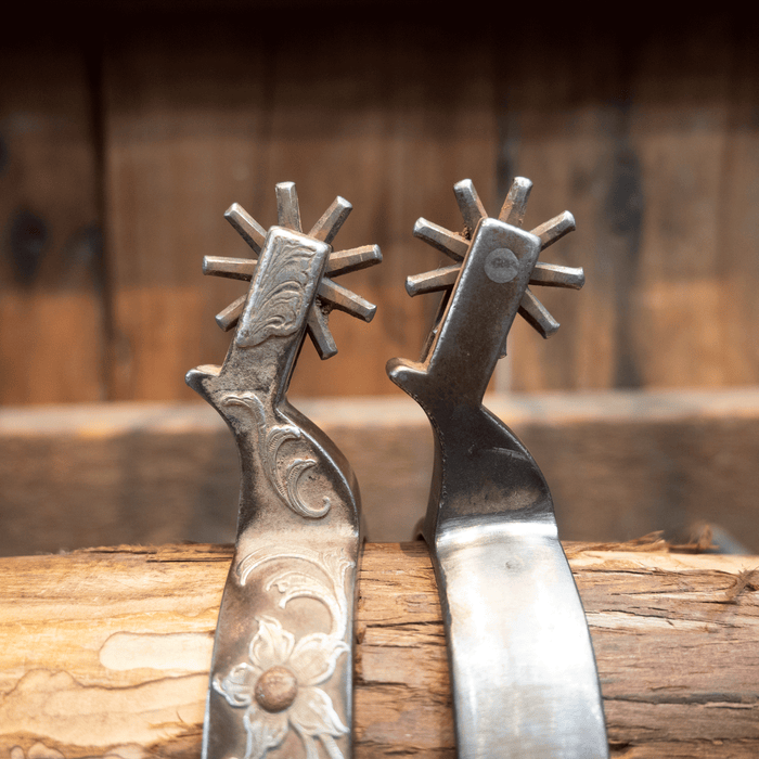 B. Anthony Silver Mounted 9pt Spurs