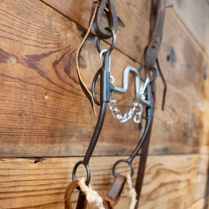 Ricky Trammell Square Port Bridle Rig
