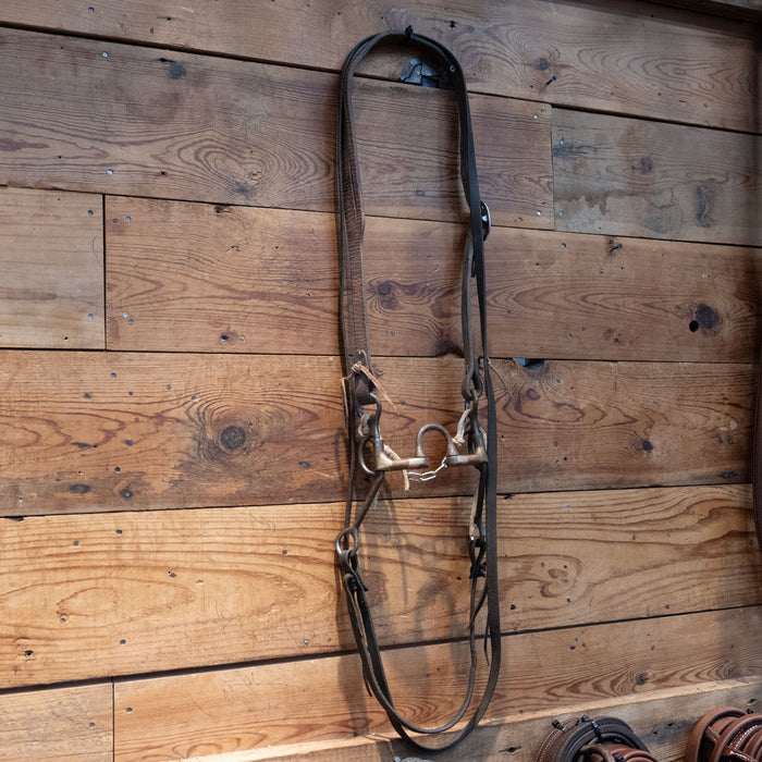Dutton Correction w/ Copper Bars Bridle Rig