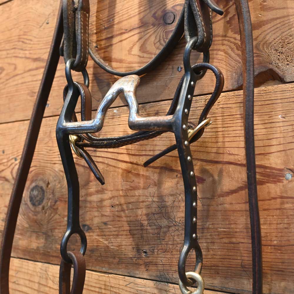 Bridle Rig  - Cathedral Bit RIG823