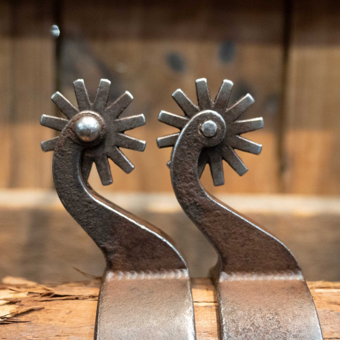 Tom Balding 12pt. Spurs