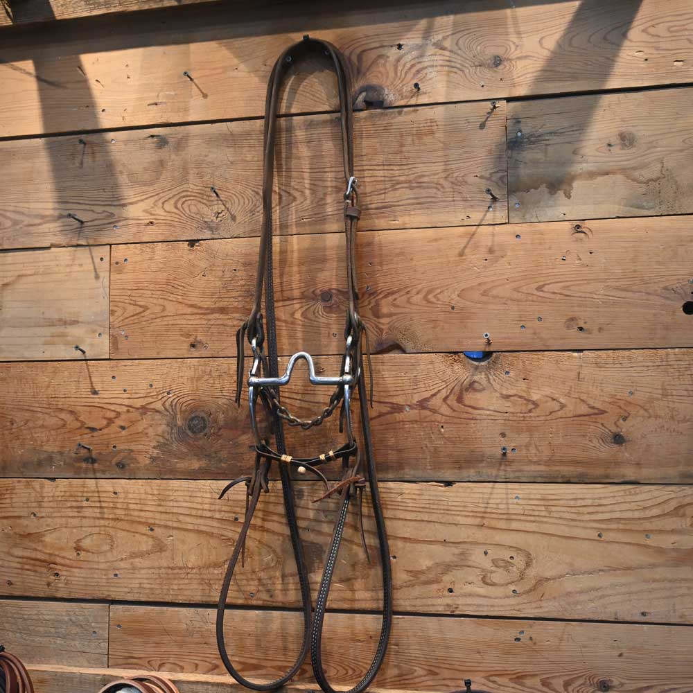 Bridle Rig - Silver Mounted MORGAN Solid Port Bit RIG988 Tack - Rigs Morgan