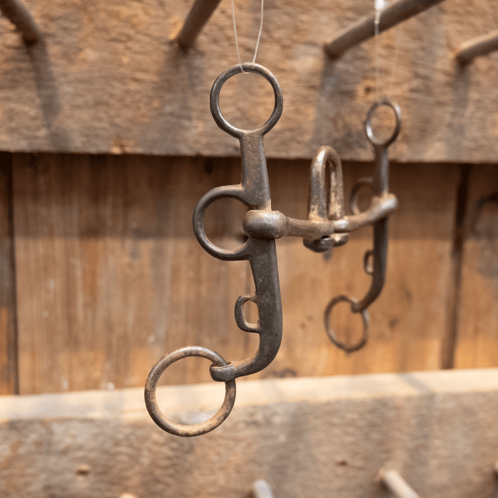 Argentine Correction Bit