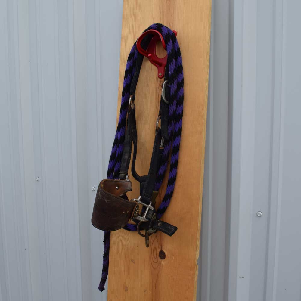 Used Leather Bronc Nose Band Halter With lead Sale Barn Teskeys   