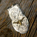 Handmade Longhorn Money Clip Collectibles TESKEY'S