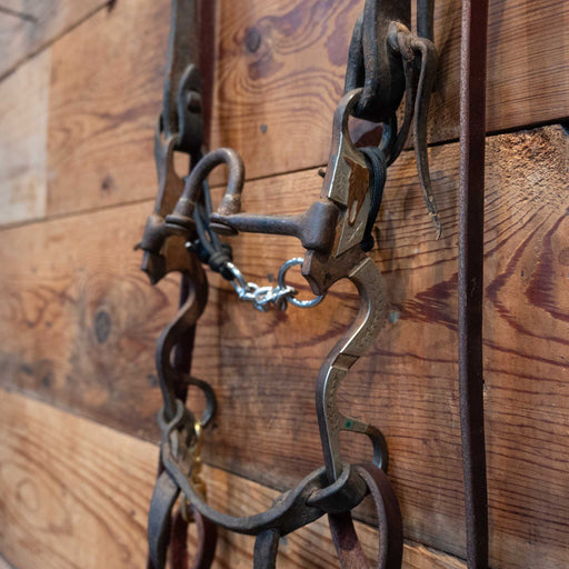 BULL Silver Mounted Correction Bridle Rig w/Copper Skull Tack - Rigs Bull Parker