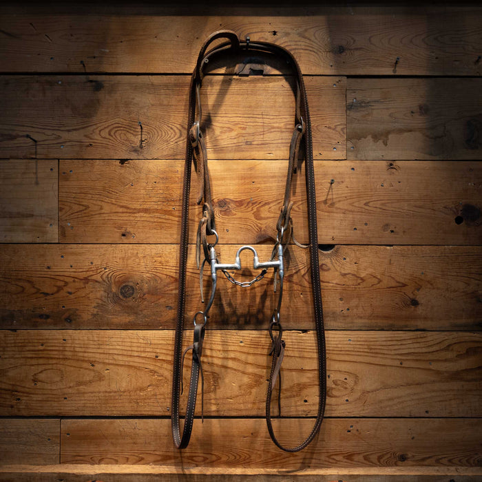 Bill Freeman Correction Bridle Rig