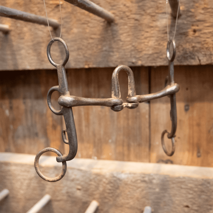 Argentine Correction Bit