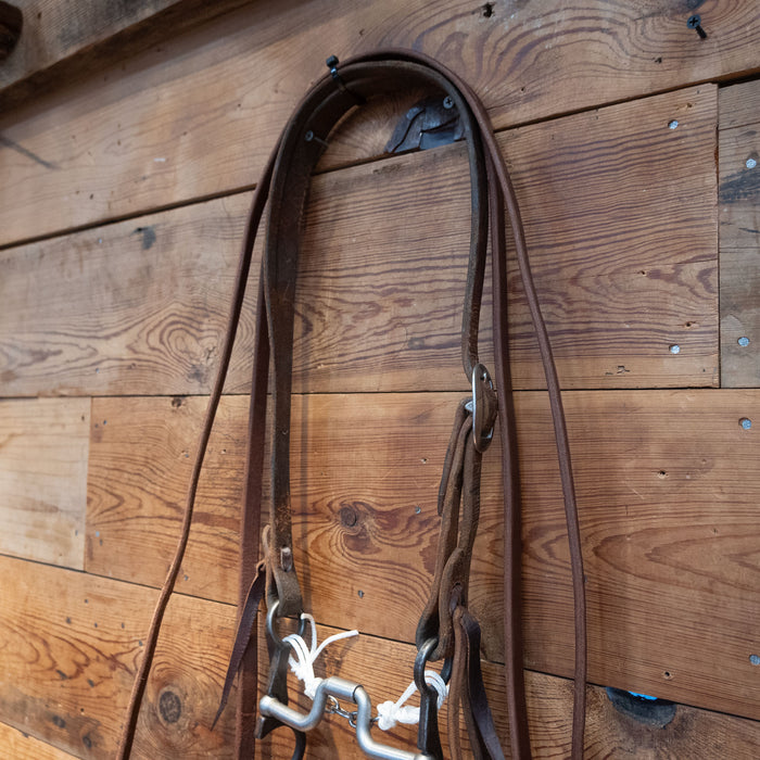 Kerry Kelley Hinge Port Bridle Rig