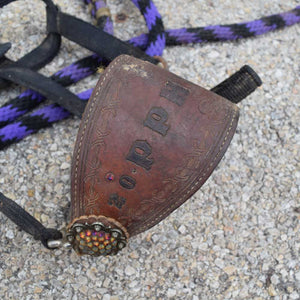 Used Leather Bronc Nose Band Halter With lead Sale Barn Teskeys   