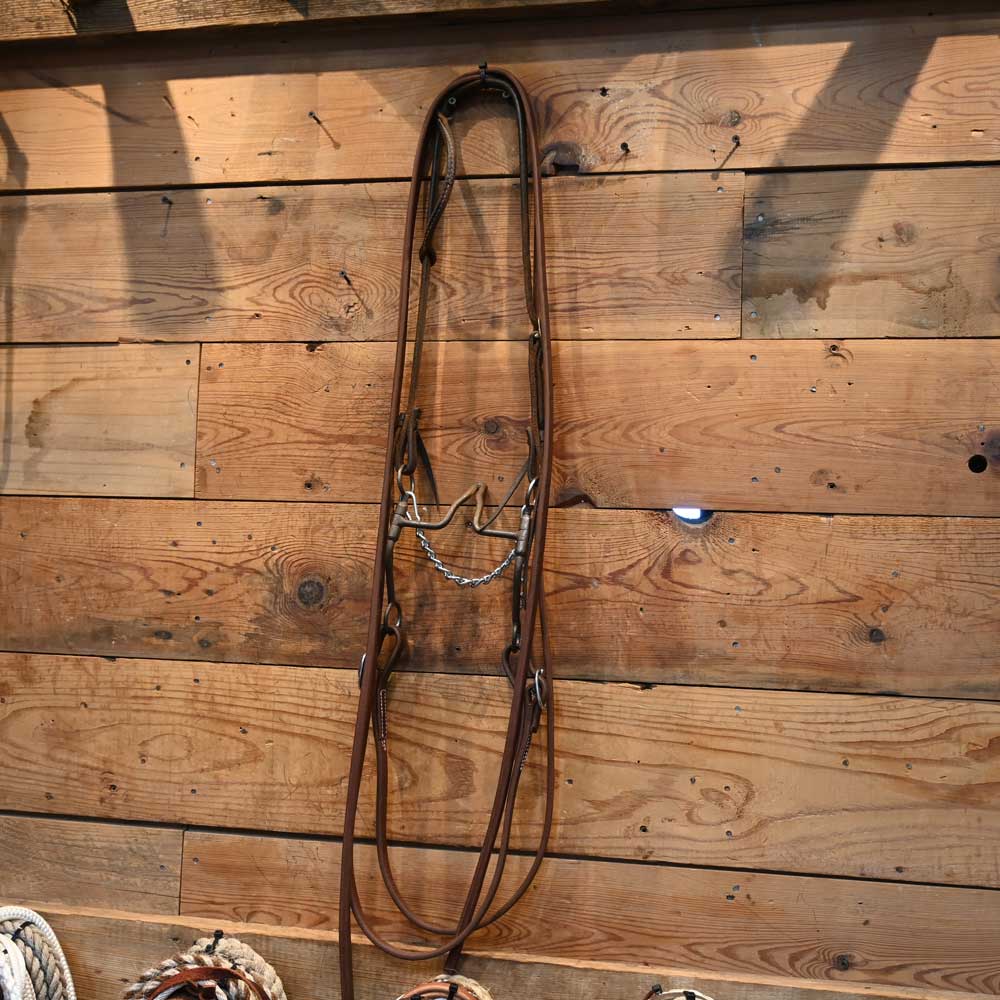 Bridle Rig - Cathedral Bit  RIG102