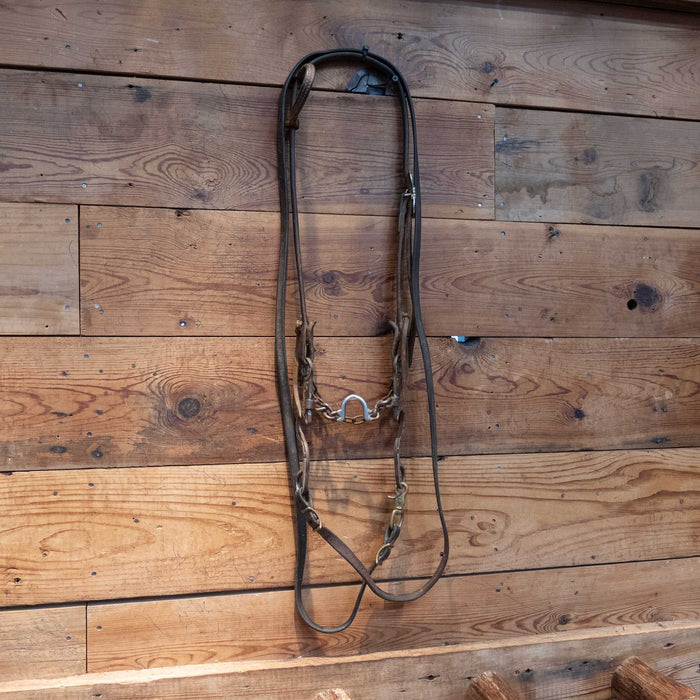 Cowpuncher Ported Chain Bit Bridle Rig