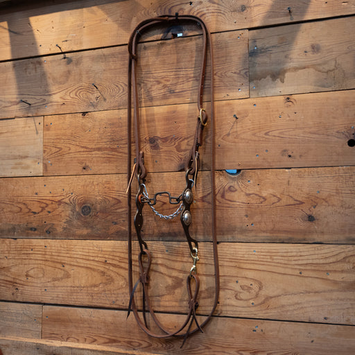 Dale Myres Square Port Bridle Rig Tack - Rigs Dale Myres