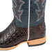 Horse Power Brown Caiman Belly Boot MEN - Footwear - Exotic Western Boots Horse Power