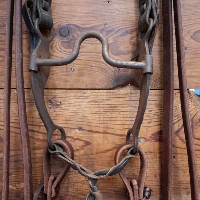 Solid Port Bridle Rig