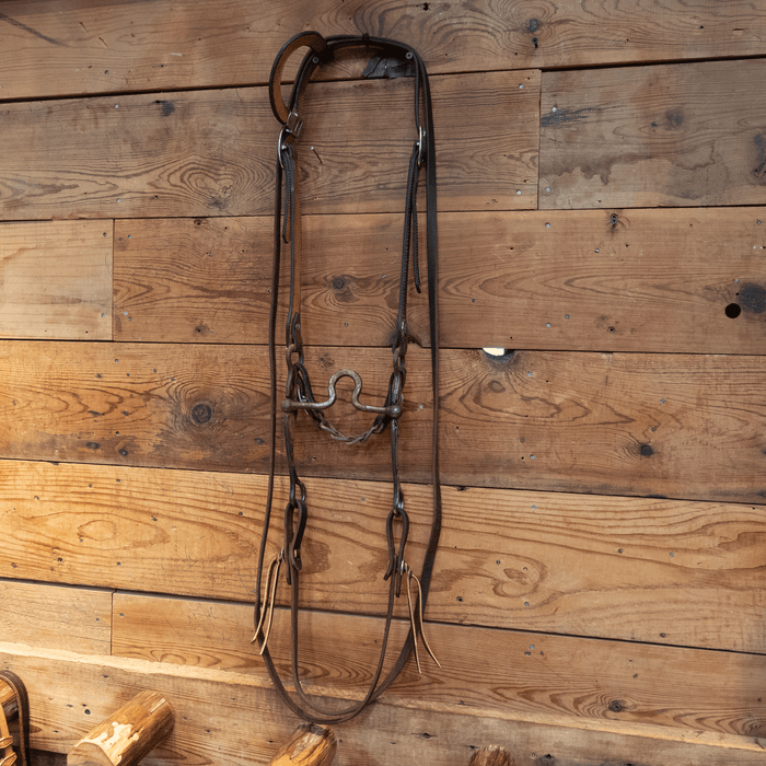 Sinclair Mushroom Port Bit Bridle Rig