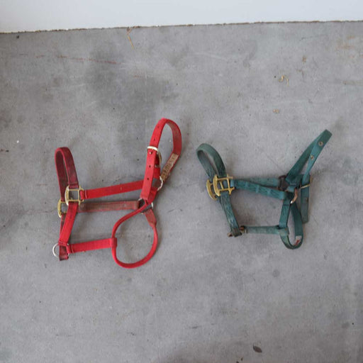 Used Halters Set Of 2 Sale Barn Sale Barn   