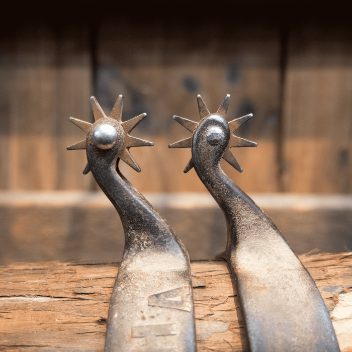 Bob Blackwood 9pt. Spurs