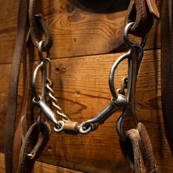 Professional's Choice 3 piece Matching Turquoise Headstall & Reins Sale Barn Professional's Choice