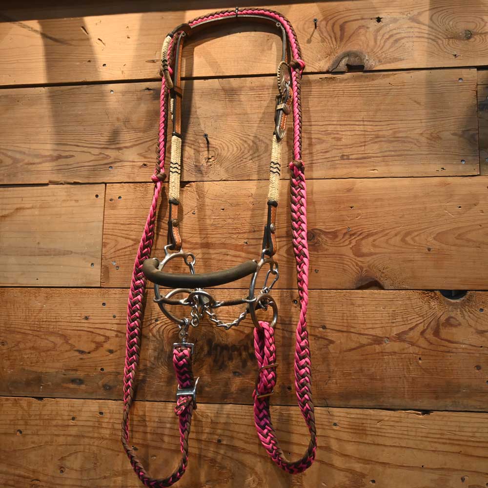 Bridle Rig - Dale Chaves Headstall with a Combo Smooth Port Gag - Bit SBR404 Tack - Rigs Dale Chavez   