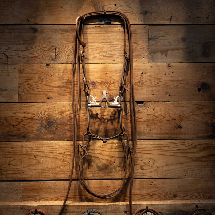 Kerry Kelley Cathedral Bridle Rig