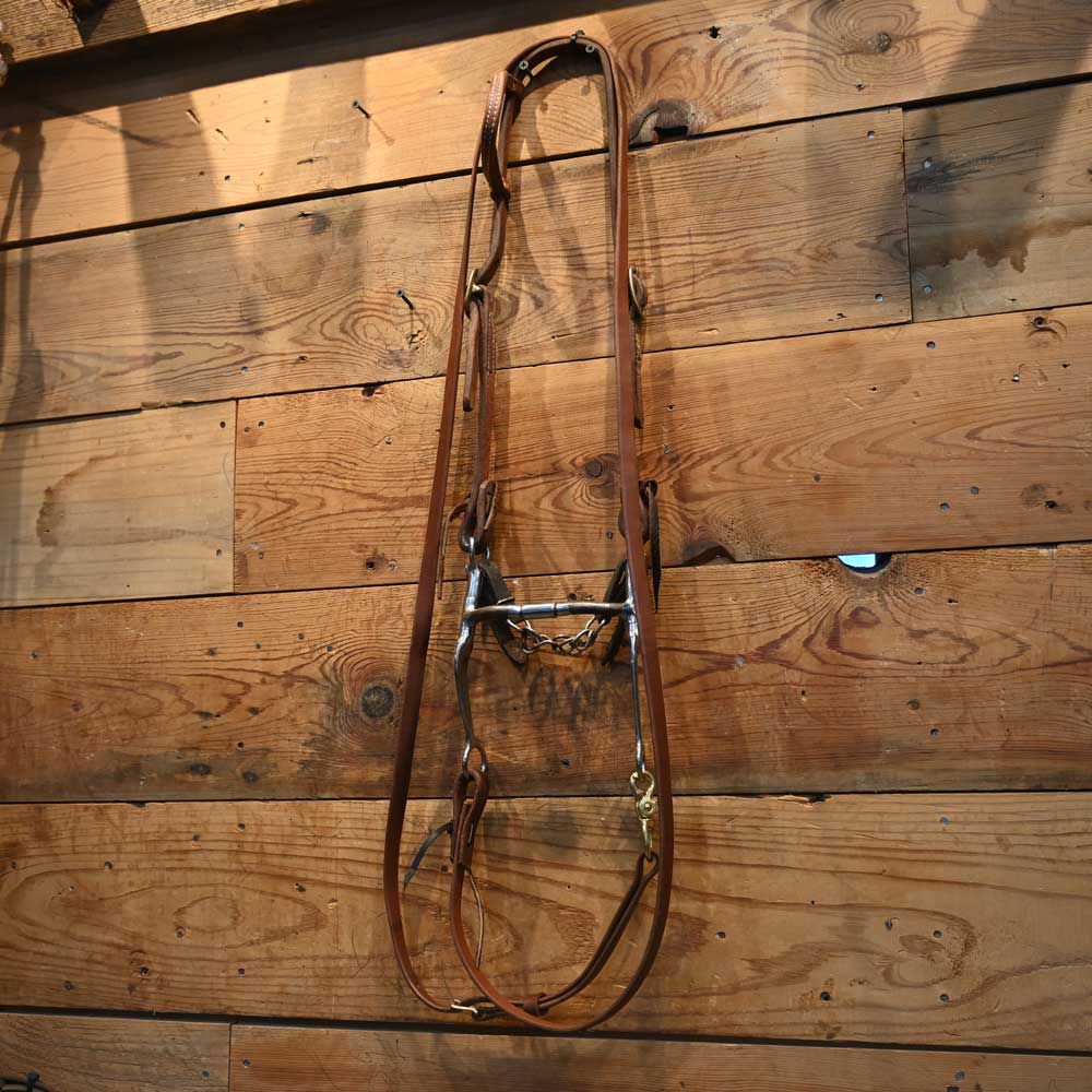 Bridle Rig - Myler Billy Allen Bit - RIG620 Tack - Rigs Myler USA   