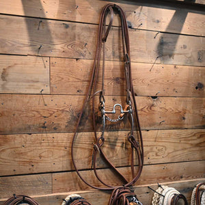 Bridle Rig - Les Vogt - Correction with Silver engraved Cheeks Bit RIG1010 Tack - Rigs Les Vogt