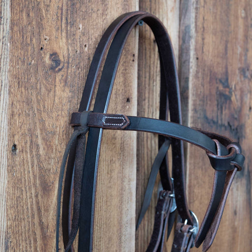 Casey Tew Dark Oil Futurity Headstall Tack - Headstalls Casey Tew