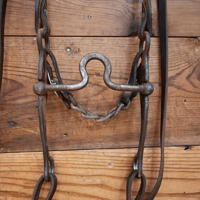 Sinclair Mushroom Port Bit Bridle Rig
