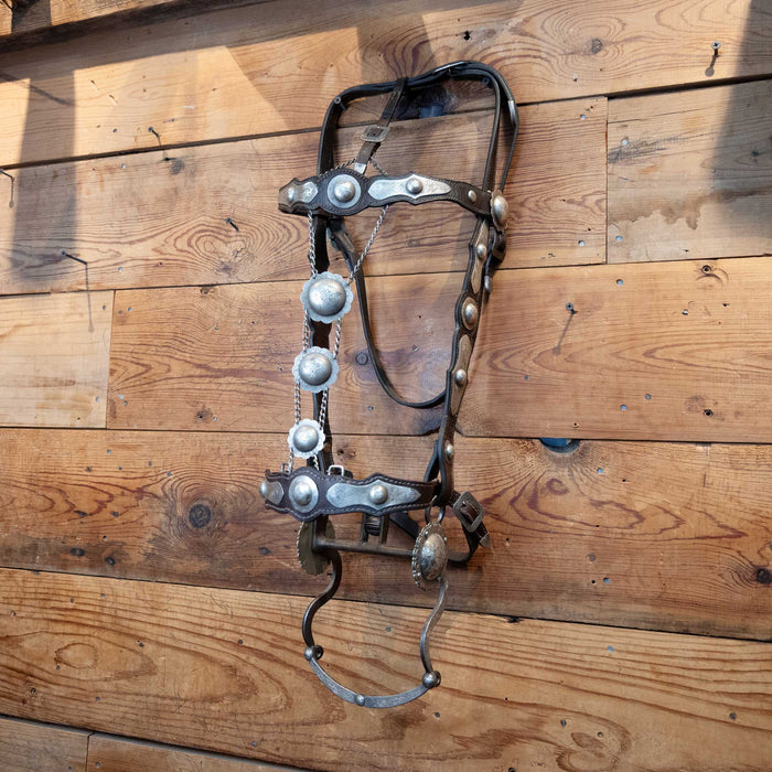 Parade Bridle Set w/ Sterling Silver Conchos