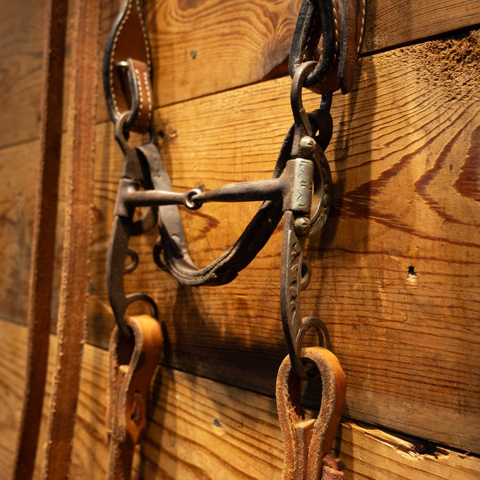 Argentine with Silver Shanks Snaffle Bit Bridle Rig Sale Barn MISC