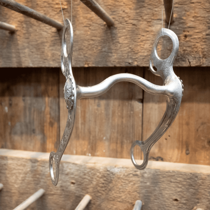 Fleming Solid Port Bit