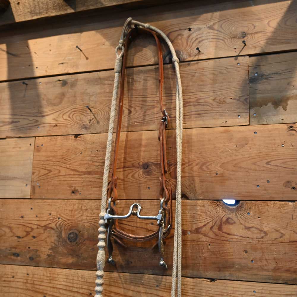 Bridle Rig - Kain Garcia Silver Engraved Port with Roller Bit RIG488