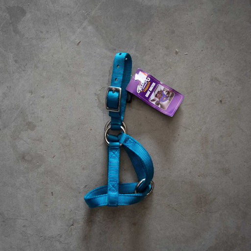 NEW Weaver Nylon Goat Halter Sale Barn MISC   