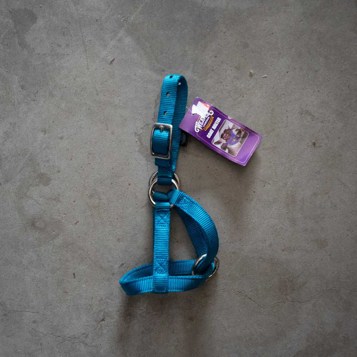 NEW Weaver Nylon Goat Halter Sale Barn MISC   