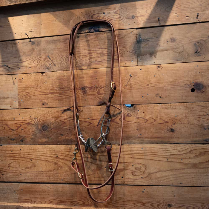 Classic Equine Sherry Cervi 2 Pc. Square Gag Bridle Rig Tack - Rigs Classic Equine