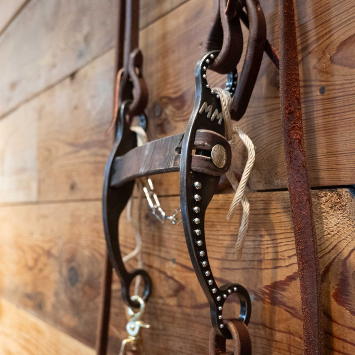 Alderson Leather Bridle Rig