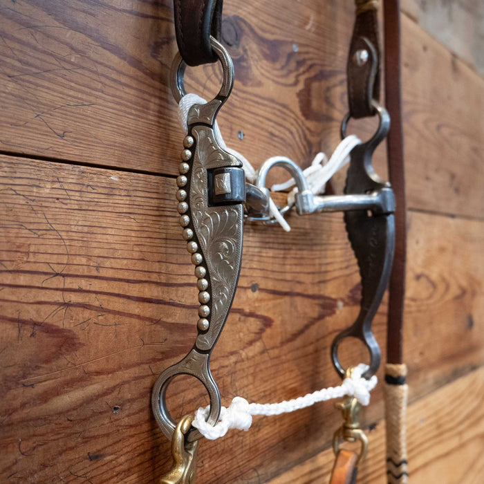 Professional's Choice Correction Bridle Rig