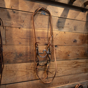 Stamped TM Hinge Port Bridle Rig