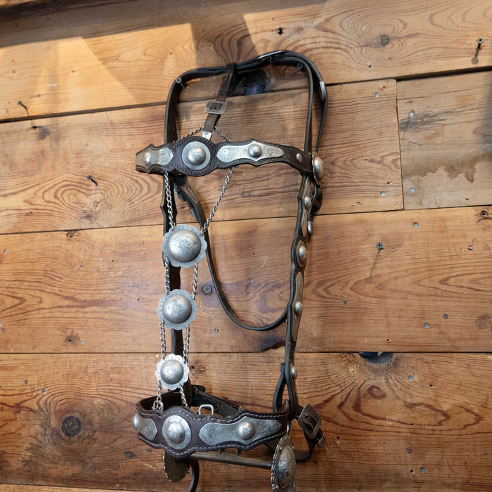 Parade Bridle Set w/ Sterling Silver Conchos