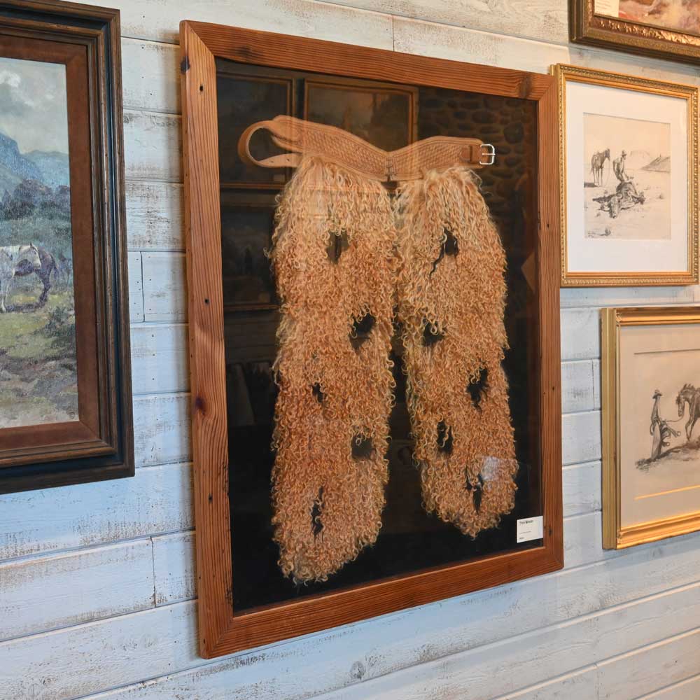 Western Decor Art - Early 1900's Framed Angora Wooly Chaps  PA107 Collectibles Teskey's   