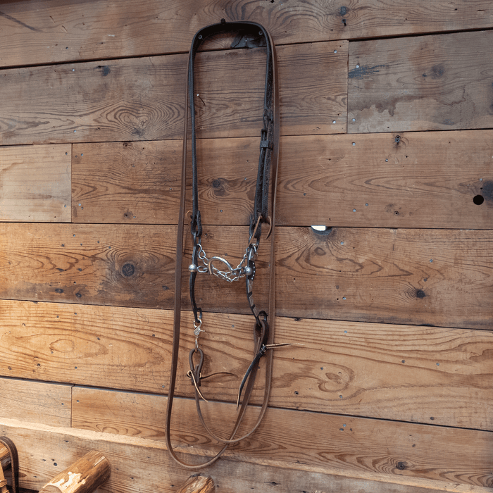 Ported Chain Bit Bridle Rig