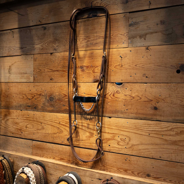 Rutledge Roper with all NEW Leather Rig Sale Barn MISC