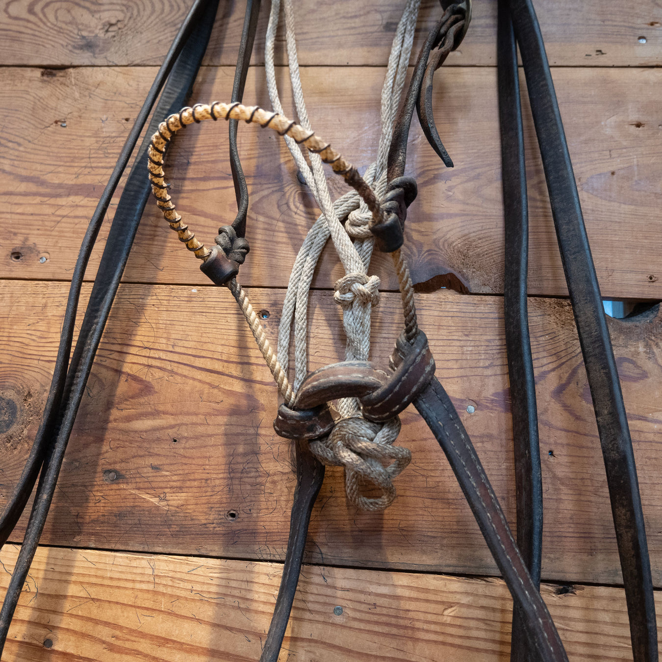 Wire Wrapped Lariat Nose Loping Hack Tack - Nosebands & Tie Downs MISC