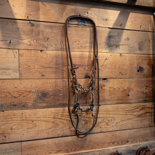 Alderson Silver Mounted Chain Bridle Rig Tack - Rigs Gordy Alderson