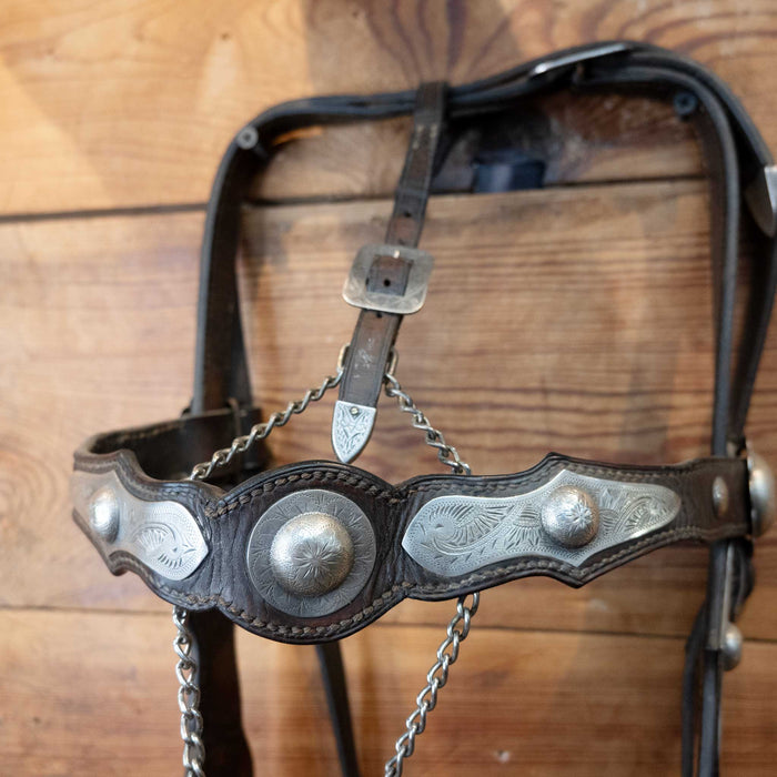 Parade Bridle Set w/ Sterling Silver Conchos