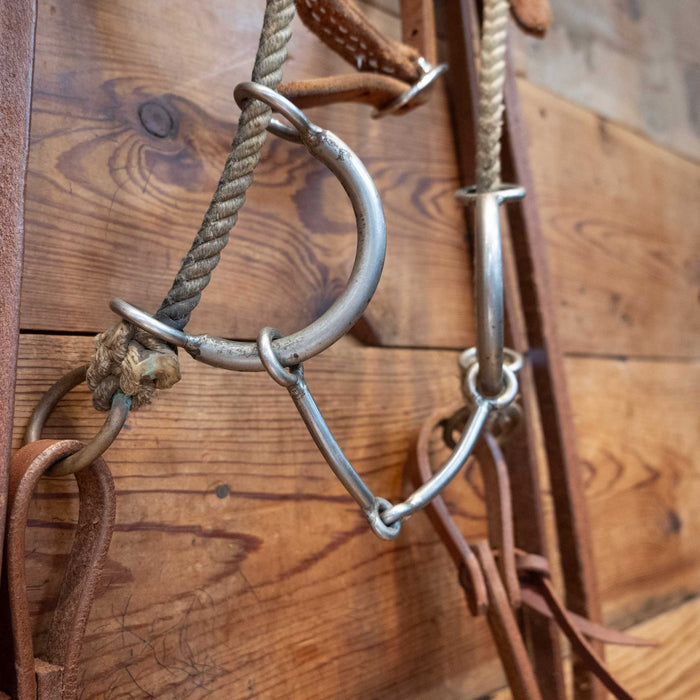 Draw Gag Snaffle Bridle Rig